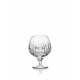 Ballon 16 OZ Fantasy ATLANTIS