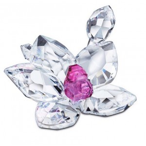 Pierrot SCS SWAROVSKI