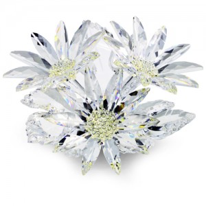 Pierrot SCS SWAROVSKI