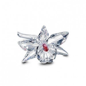 Pierrot SCS SWAROVSKI