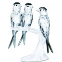 Andorinhas SWAROVSKI