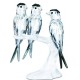 Andorinhas SWAROVSKI