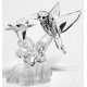 Colibri SWAROVSKI